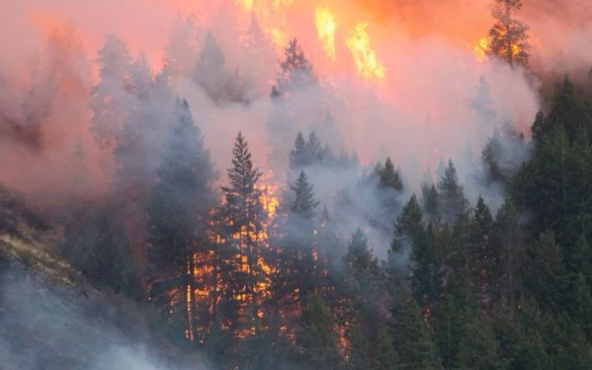 How to Choose a Face Mask for Bushfire Smoke in Australia